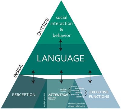 Behind the Scenes of Developmental Language Disorder: Time to Call Neuropsychology Back on Stage